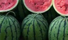 情侣之间吃红瓜,情侣共享的浪漫滋味