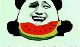 为什么吃瓜不说名字,为何不说名字？