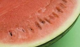 疯狂找瓜吃,一场寻味之旅