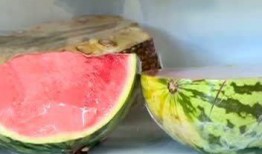 吃瓜涨知识,揭秘娱乐圈背后的那些事儿