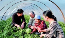 农村在田里吃瓜,农村田野里的悠闲时光
