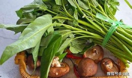 扔树叶吃瓜,扔树叶吃瓜的悠闲时光