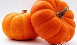 火瓜怎么吃,解锁美味新体验