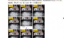 姜太公吃瓜视频