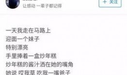 吃瓜东北话,揭秘东北人的幽默与热情