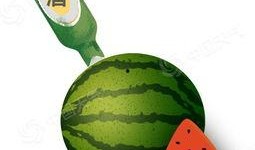 奇葩玩具带你吃瓜,跟随“吃瓜”之旅，探寻玩具界的趣味瓜界