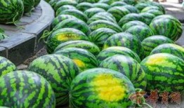 合肥985院校吃瓜