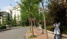 金水翠园吃瓜,夏日吃瓜盛宴，畅享清凉时光