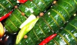 吃瓜看到虫子的视频