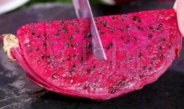 唐山玉田吃瓜事件,一场引发社会关注的网络热议