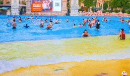 什么是冲浪找瓜吃