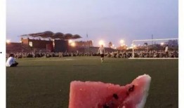 为校友吃瓜视频,揭秘校园幕后故事