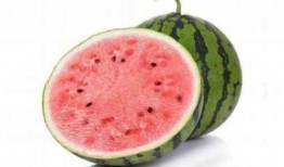 吃瓜好吃么,吃瓜好吃吗？