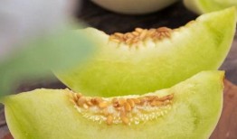 山东日照泰安吃瓜,美食之旅尽享丰收盛宴