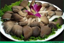 骨折可以吃瓜不,合理饮食与美味瓜果的完美结合