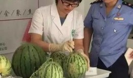 真正吃瓜群众直播,真正吃瓜群众的直播奇遇记