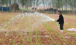 梦见浇地偷瓜吃,浇地偷瓜，揭秘潜意识中的田园幻想