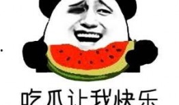 专业吃瓜语言