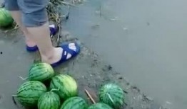 在河边吃瓜,品味瓜果，悠然自得