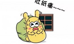 带你吃瓜放风筝,带你领略春日美食与风筝的浪漫之旅