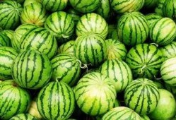 火瓜怎么吃,解锁美味新体验