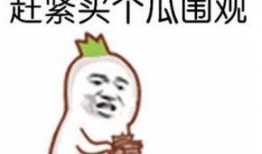 吃瓜群众头像单人,揭秘吃瓜群众单生头像背后的故事