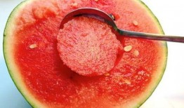 吃瓜勺子套装是什么,夏日消暑神器大揭秘