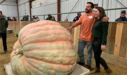 在英国吃瓜,揭秘英伦王室背后的八卦风云