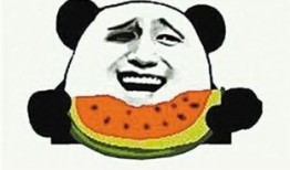 吃瓜群众你好柳州,吃瓜群众眼中的风味盛宴