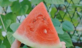 吃瓜后测血糖,甜蜜诱惑背后的血糖波动