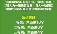 谁是吃瓜大王原文,揭秘网络舆论场中的风云人物