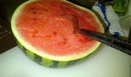 在英国吃瓜,揭秘英伦王室背后的八卦风云