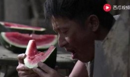 团团吃瓜事件,揭秘网络舆论背后的真相与反思