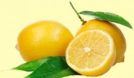 柠檬在吃瓜,吃瓜群众狂欢记