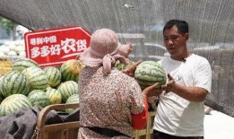 鲁山之窗吃瓜直播,吃瓜直播带你领略民间趣味