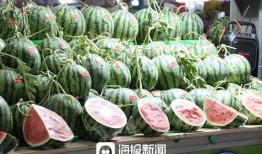 吃瓜日常最新,揭秘娱乐圈幕后真相，带你领略明星们的真实生活