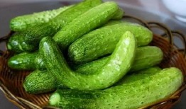 黄阿玛吃瓜,揭秘娱乐圈的甜蜜瓜田