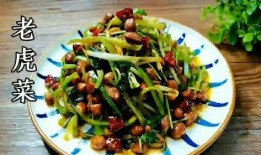 吃瓜51老虎菜,探寻美食背后的故事与魅力