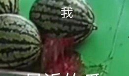 醒来都吃瓜,揭秘娱乐圈的幕后故事与热点追踪