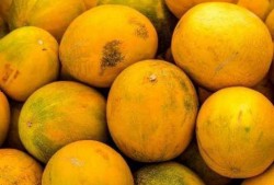 梦见自己吃绿瓜,揭秘绿瓜梦境的神秘寓意