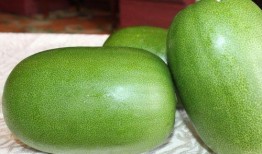 吃男瓜好不好,究竟好不好？