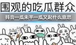 真诚吃瓜抖音,带你领略网络热点的真实面