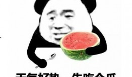 谢谢加吃瓜表情包