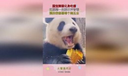 农村国宝吃瓜视频,揭秘乡村生活趣味瞬间