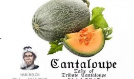 梦见别人吃蜜瓜,揭秘梦中蜜瓜的甜蜜寓意