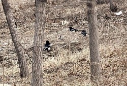 真假少爷吃瓜,一场豪门恩怨的真相追踪