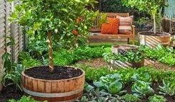 魅力花园吃瓜,瓜果飘香，共享欢乐时光