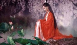 郑恩吃瓜,揭秘娱乐圈背后的那些事儿