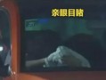 吃瓜事件教练,揭秘教练背后的真相与争议