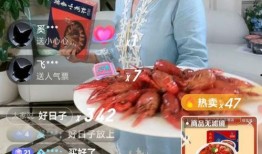 红安吃瓜直播间,揭秘网络红人的幕后故事